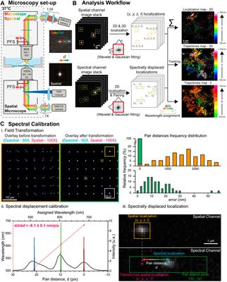 Multi-Dimensional Spectral Single Molecule Localization Microscopy